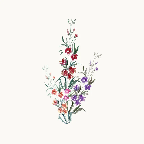 Watercolor summer wildflowers — Stock Photo, Image