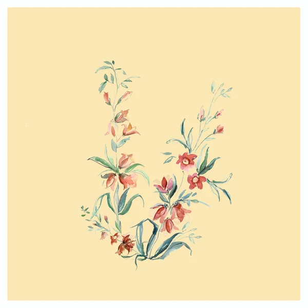 Акварель летняя полевые цветы — стоковое фото