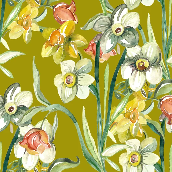 Narcissus flowers pattern — Stock Photo, Image