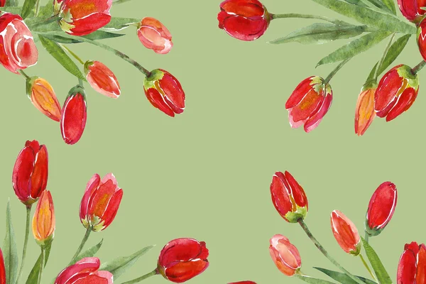 Wzór tulipany — Zdjęcie stockowe