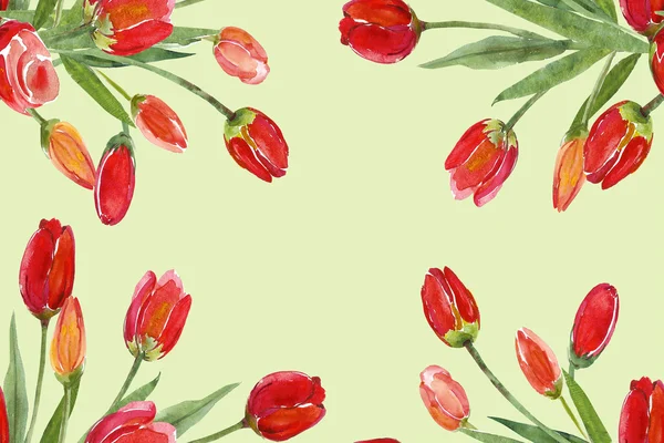 Tulipes motif sans couture — Photo