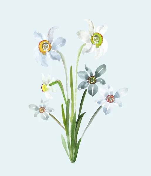 Bouquet acquerello di narciso — Foto Stock