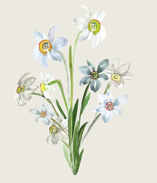 Watercolor bouquet of narcissus — Stock Photo, Image