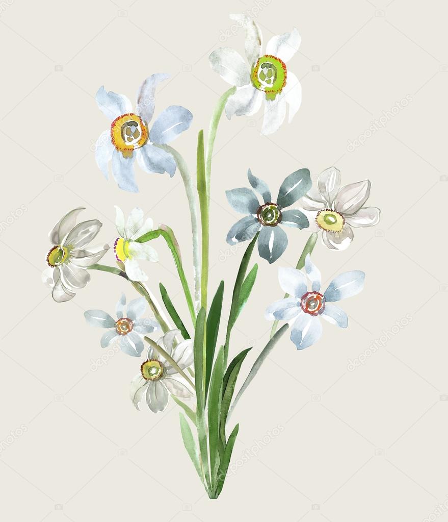 水仙の水彩画の花束 ストック写真 C Svemar 水仙の水彩画の花束 ストック写真 C Svemar