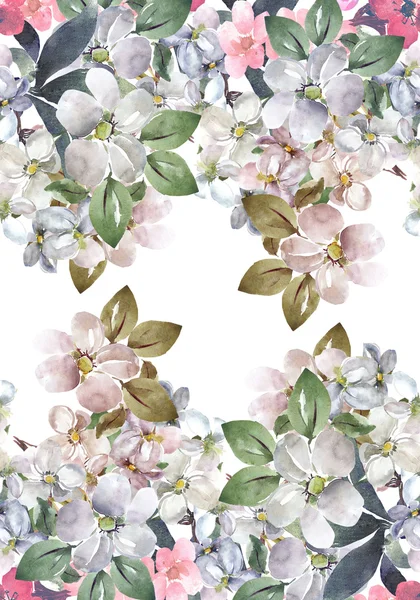 Flowers of apple  pattern — Stock Photo, Image