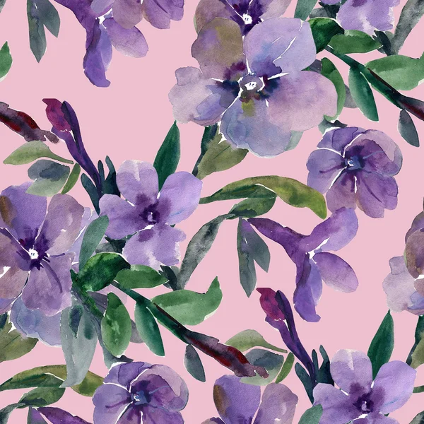 A petunia virág varrat nélküli mintát akvarell illusztráció — Stock Fotó
