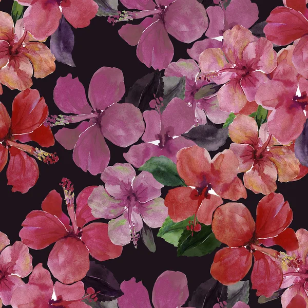 Flores r patrón de arbusto hibisco —  Fotos de Stock