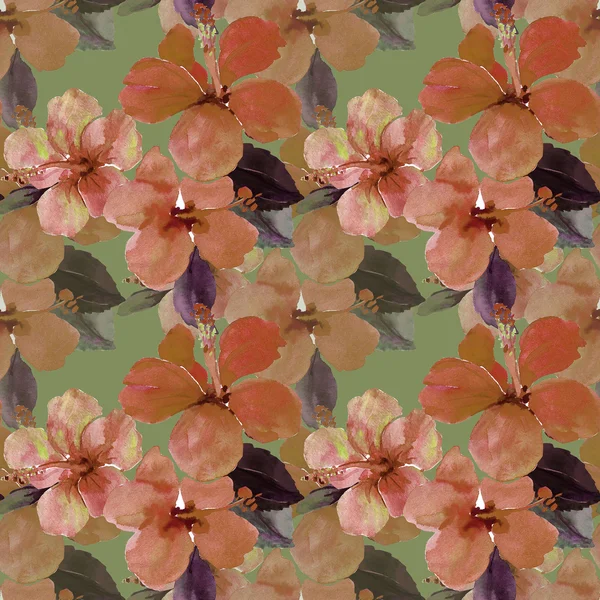 Flores verano hibisco arbusto patrón sin costuras —  Fotos de Stock