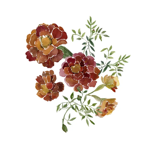Illustration aquarelle fleur safran motif sans couture — Photo