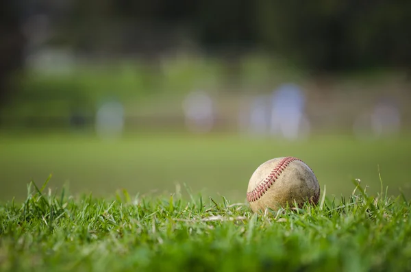 Used baseball on fresh green grass