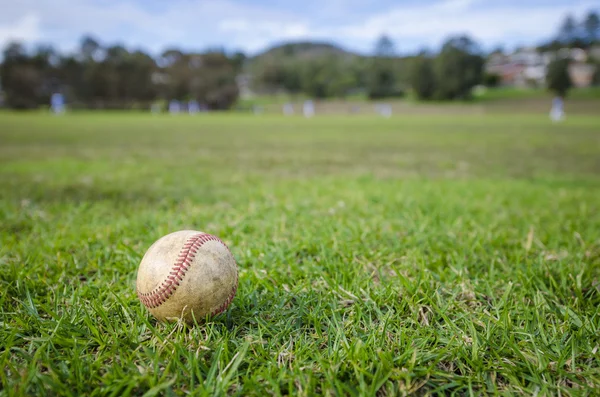 Basebol usado que coloca na grama verde fresca — Fotografia de Stock