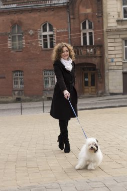 Zarif sarışın kadın ile köpek parkta oynarken