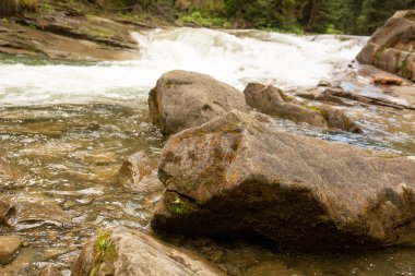 Orman nehrinde yosunlu büyük kayalar