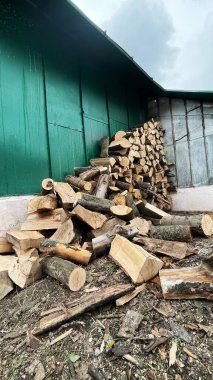Ahırın yakınına istiflenmiş kuru odun yığını.