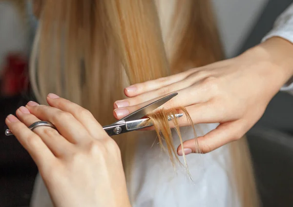 Cabeleireiro Mulher Cortando Cabelo Loiro Cliente Salão Beleza Tiro Perto — Fotografia de Stock