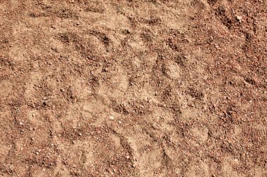 Dokulu kuru taşlı zemin yüzeyi yakın plan.