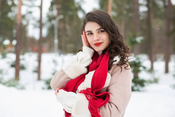 Mulher Encantadora Com Batom Vermelho Posando Inverno Nevado Espaço Vazio — Fotografia de Stock
