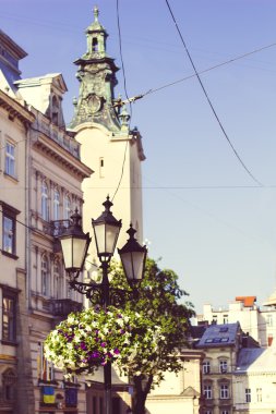 Sokak fener ile çiçekler, Lviv, Ukrayna