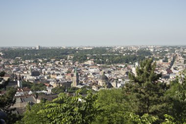 Lviv ağaçların arasından görünümü