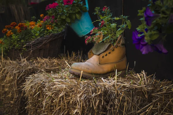 Flowers in a boot on the street — Stock Photo, Image