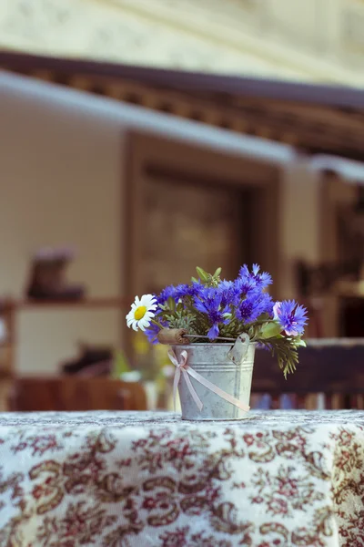 Standarcie. Niebieskie kwiaty w doniczkach — Zdjęcie stockowe