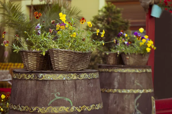 Barrel with flowers near street cafe — Stock Photo, Image