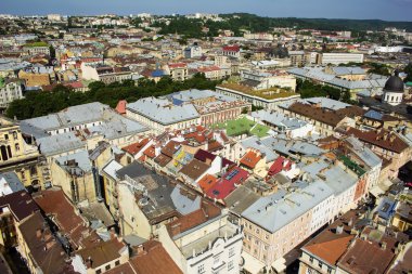 Güneşli bir gün güzel Lviv şehirde