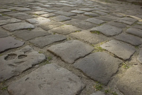 Pavimentazione sulla piazza di Leopoli — Foto Stock