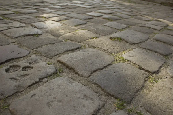 Marksten på torget i Lviv — Stockfoto