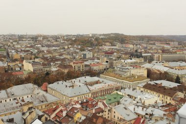 Lviv, Ukrayna - 20 Ekim: height.20.10.2013 görünümünden Top