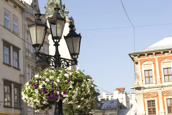 Gammal lykta på torget i Lviv. Västra Ukraina — Stockfoto