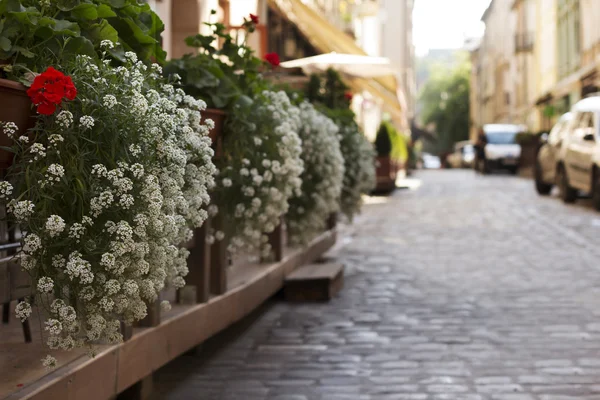 Restaurante de decoración callejera con flores — Foto de Stock