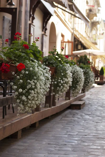 Café de decoración de calle con flores — Foto de Stock