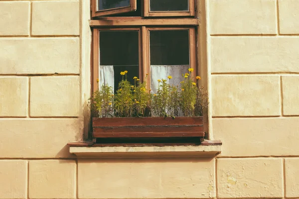 Retro okno z kwiatami — Zdjęcie stockowe