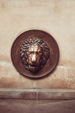 Basrelief bir kafa aslan 