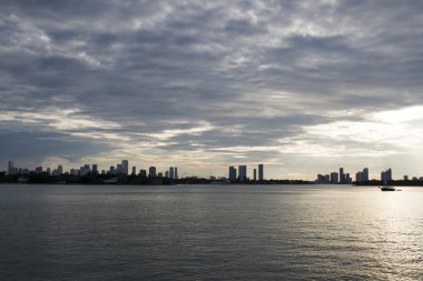 Miami şehir manzarası