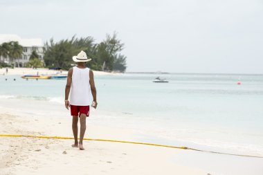 Florida plaj manzara