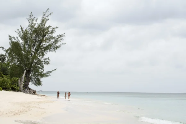 Krajobraz beach na Florydzie — Zdjęcie stockowe