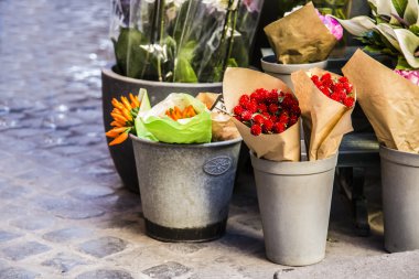 renkli mevsimlik çiçekler