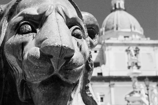 Leone in piazza pretoria — Foto Stock