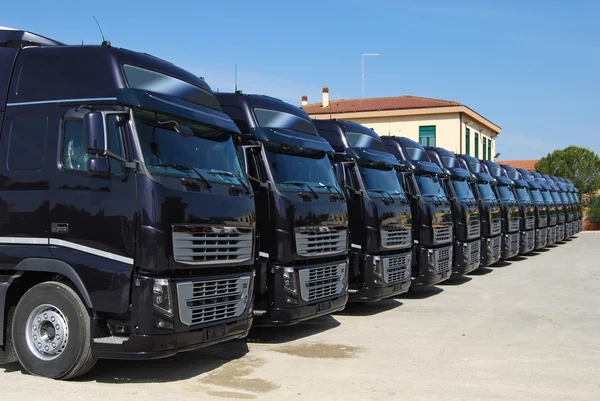 Camions de flotte d'entreprise doublés — Photo