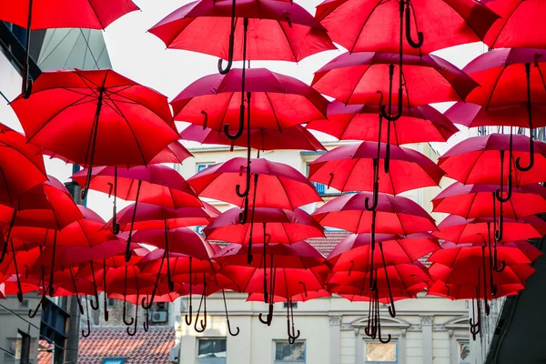 Parapluie rouge — Photo