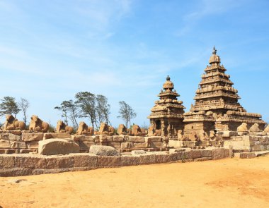 Thirukadalmallai Shore tapınak mamallapurna tamil nadu Hindistan