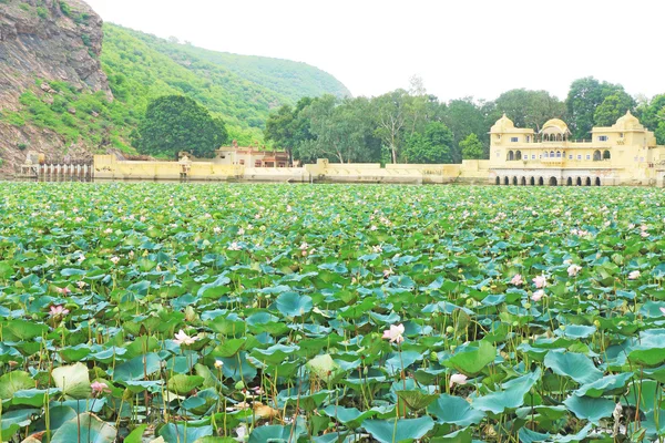Palais flottant d'été sur une mer de fleurs de lotus bundi Inde — Photo
