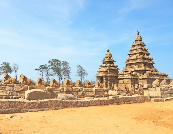 Thirukadalmallai Shore tapınak mamallapurna tamil nadu Hindistan
