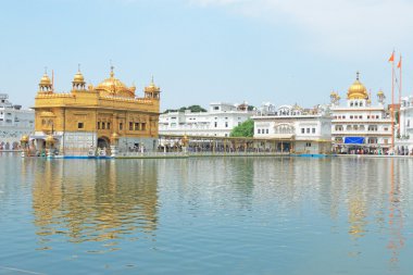 Amritsar goldent Tapınağı karmaşık punjab India