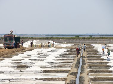 tuz ovaları tamil nadu Hindistan