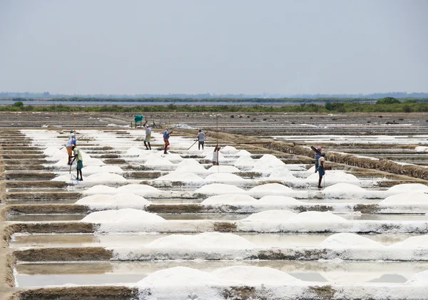 Soli równiny tamil nadu india — Zdjęcie stockowe