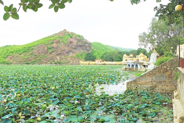 Verano flotante palacio en un mar de flores de loto bundi india — Foto de Stock