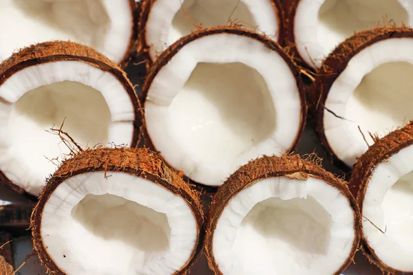 Kokosowy wyświetlacz — Zdjęcie stockowe